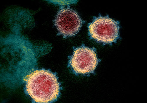 Phát hiện đột phá của Hàn Quốc về bản đồ gen virus corona mới