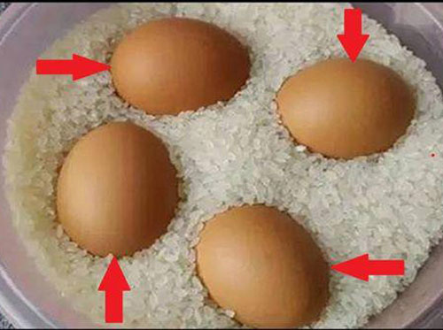 Con dâu đặt trứng vào thùng gạo, 1 tháng sau gọi mẹ chồng ra xem điều lạ xảy ra