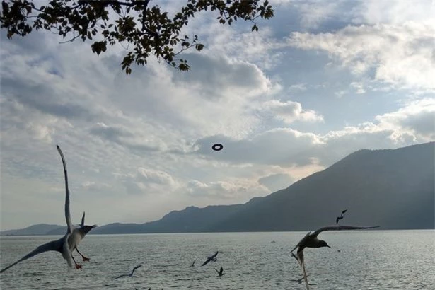 Du khách chụp được một chiếc UFO hình “bánh vòng” bí ẩn - 2