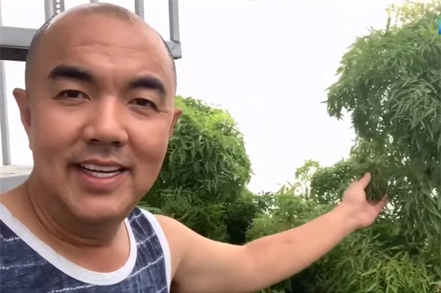 NSND Hồng Vân, Quốc Thuận khoe vườn nhà xum xuê cây trái để tránh dịch - 6