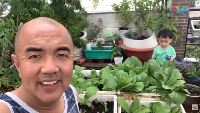 NSND Hồng Vân, Quốc Thuận khoe vườn nhà xum xuê cây trái để tránh dịch - 7 NSND Hồng Vân, Quốc Thuận khoe vườn nhà xum xuê cây trái để tránh dịch - 7