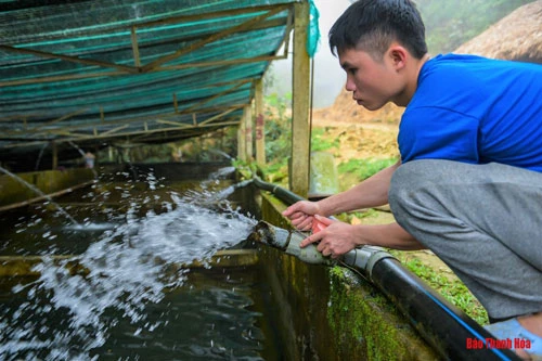 Vốn đây là những giống cá sống chủ yếu ở vùng nước lạnh, sạch sẽ nên việc đầu tiên ông nghĩ đến đó chính là nguồn nước. Tận dụng nguồn nước từ bên dòng thác, ông dựng hệ thống lọc sàng rồi dẫn đường dây dài hàng km đưa về đến tận bể. Mỗi ngày, việc thay nước và dọn bể là công đoạn cần thiết nhất để đàn cá sinh trưởng tốt.