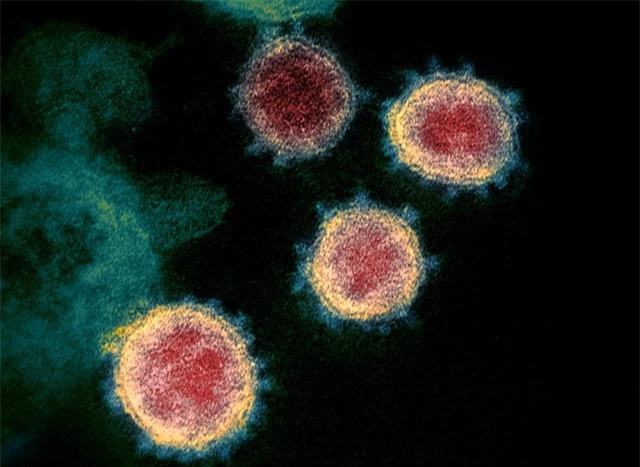 Phát hiện đột phá của Hàn Quốc về bản đồ gen virus corona mới - 1