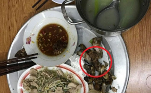 Được nhà chồng phần mâm cơm như đồ thừa, cô gái có cách hành xử "cao tay" khiến mẹ chồng sững sờ