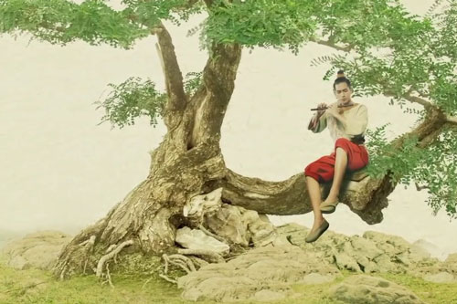 4 thứ ở đời càng có nhiều lại càng dễ chết