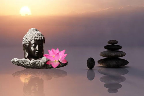 Đời người ngắn chẳng tày gang, thử hỏi có gì đáng để ta tranh giành?