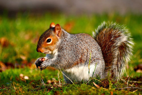 Làm người chỉ cần làm tốt việc của mình là đủ, chớ nên phê phán kẻ khác