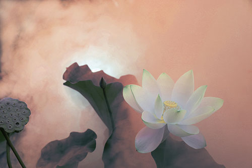 Ở đời có 3 điều đáng tiếc, bạn đã bỏ lỡ điều nào chưa?