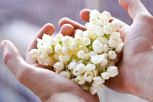 Hãy biết ơn những người sau đây để cuộc sống thanh thản không lo vướng bận