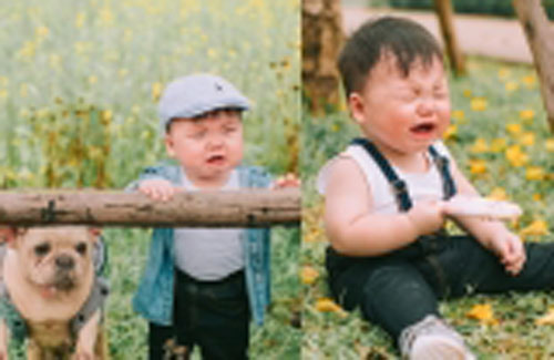 Được chụp ảnh bên 'bạn chó' đáng yêu nhưng cậu nhóc lại khóc lóc vật vã khiến dân mạng 'phát sốt'