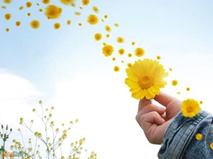 Hạnh phúc ngay ở cạnh mình, đừng thờ ơ quá mà đánh mất để rồi nuối tiếc
