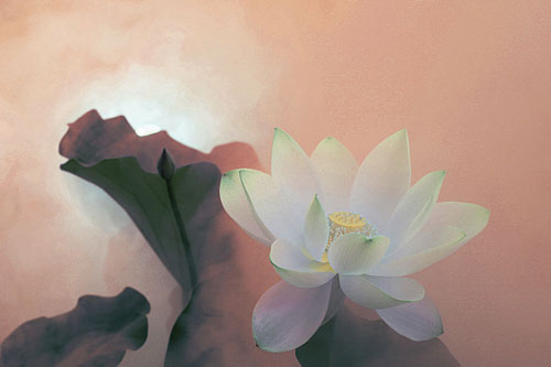 Thành tựu chỉ là vọng tưởng nếu cố giữ điều sau