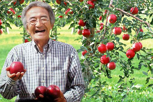 Sống trên đời, ít nhất hãy một lần làm... kẻ ngốc