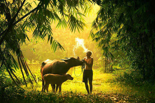 Cuộc sống giống như thuyền trên nước, chở quá nhiều đồ sẽ dễ bị nhấn chìm