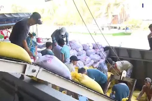 Doanh nghiệp gặp khó khăn khi đăng ký xuất khẩu gạo trực tuyến