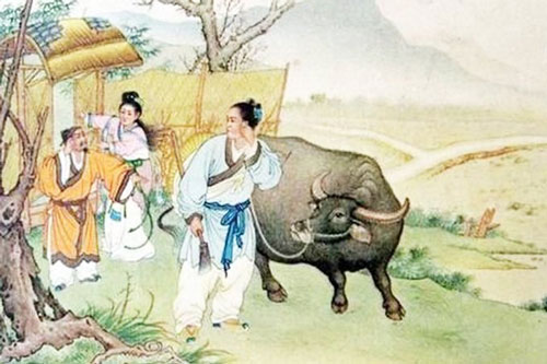 Đạo vợ chồng và con đường trở về với hạnh phúc