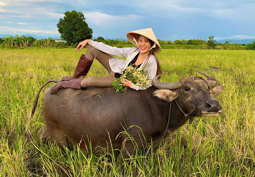 Nghệ sĩ Việt về với ruộng vườn trong mùa dịch COVID-19