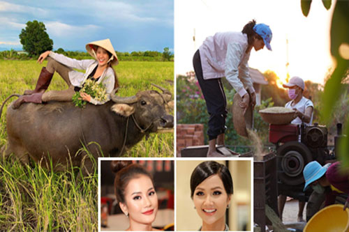 Sao Việt về quê vào mùa dịch: H'Hen Niê xay lúa, Hương Ly đi chăn trâu
