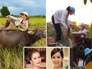 Sao Việt về quê vào mùa dịch: H'Hen Niê xay lúa, Hương Ly đi chăn trâu