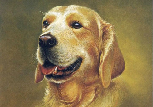 Top 3 con giáp nam thường chung tình, yêu ai là yêu cả đời, gái đẹp 'dâng tận miệng' cũng quyết từ chối