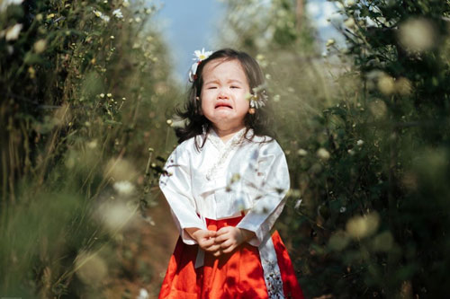 "Nhà bao việc" mà bố bắt đi chụp ảnh cúc họa mi, bé gái mếu máo khóc còn cộng đồng mạng được trận "cười nghiêng ngả"