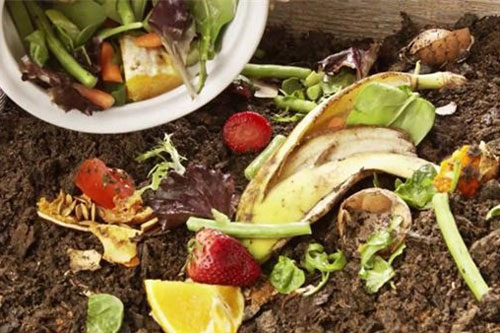 Tích trữ 6 loại rác trong nhà bếp rồi mang ra vườn, vài tuần sau rau sẽ lên "vùn vụt"
