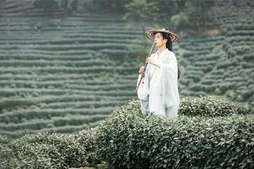 Nguyên lý của 'đại đạo': Người ở tầng thứ càng cao càng sống đơn giản