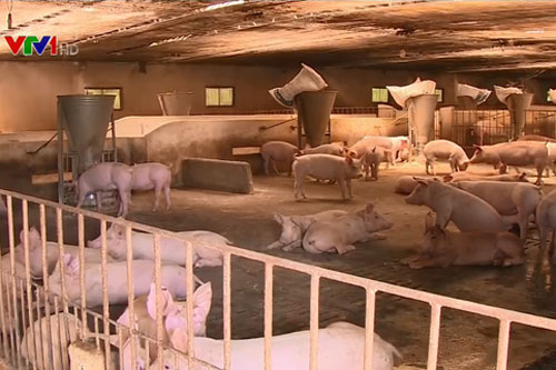 &#x110;&#x1EA9;y m&#x1EA1;nh t&#xE1;i &#x111;&#xE0;n &#x111;&#x1EC3; t&#x103;ng ngu&#x1ED3;n cung v&#xE0; &#x1ED5;n &#x111;&#x1ECB;nh gi&#xE1; th&#x1ECB;t l&#x1EE3;n