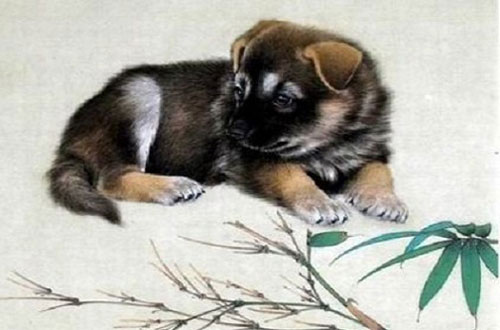 Tháng 4, tháng 5 và tháng 6 hoan hỷ, 3 con giáp dự báo vận may lội ngược dòng, tài lộc vượng phát