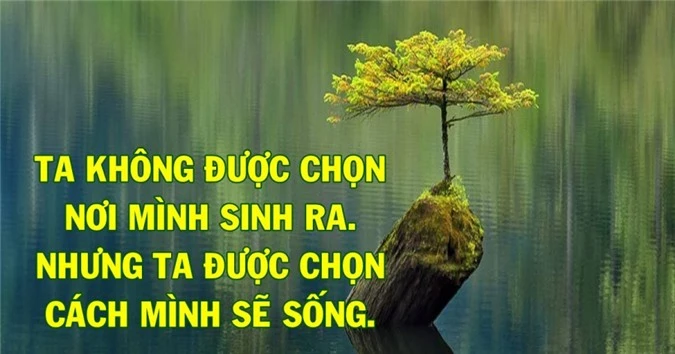 Vật chất bị mất có thể tìm thấy, nhưng có một điều bạn sẽ không bao giờ tìm được nếu đánh mất - Ảnh 2