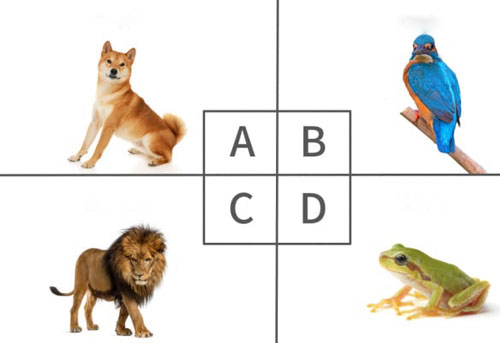 Trắc nghiệm: Bạn đang mong muốn điều gì?