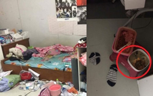 Bước vào phòng em gái, anh chàng "sang chấn tâm lý" khi nhìn thấy cảnh tượng này