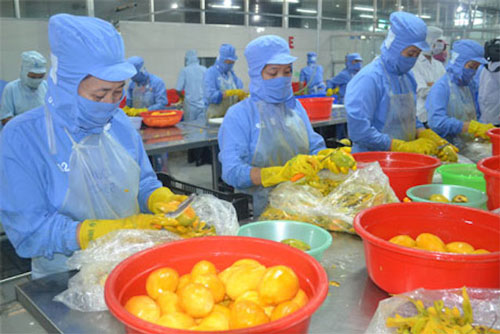 Trái cây cần thận trọng khi 'khởi động' lại thị trường Trung Quốc