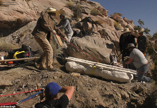 Lộ diện giữa công viên "quái vật" chỉ xương đùi đã to hơn con người