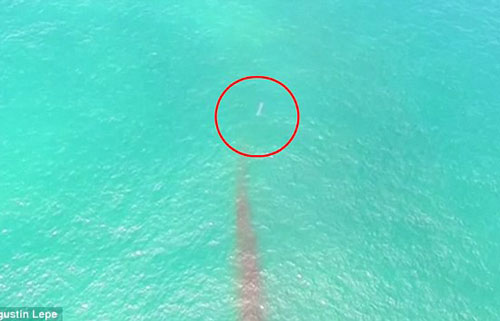 UFO tốc độ cao xuất hiện giữa biển Thái Bình Dương?