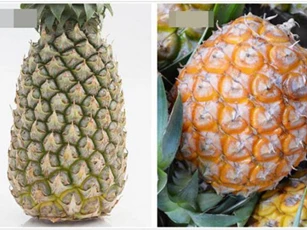 3 loại dứa thèm đến mấy cũng chớ dại mà mua về kẻo mất tiền oan