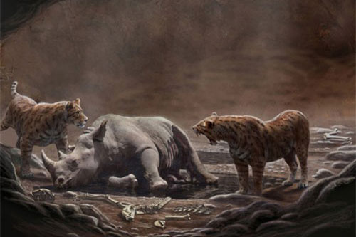 Cạm bẫy tử thần cho loài ăn thịt thời cổ đại