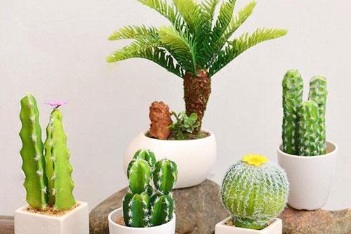 Cứ "tiện tay" làm những việc phạm cấm kị này, gia chủ dễ gặp họa lớn