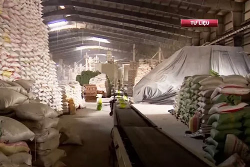 Cần Thơ đề xuất cho thông quan 26.000 tấn gạo đang nằm chờ tại cảng