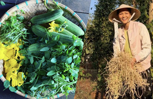 H'Hen Niê mê thu hoạch rau trái trong vườn, rẫy