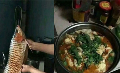 Về ra mắt nhà bạn gái, nhưng chàng trai lại làm hành động này khiến dân mạng cũng phải "lo lắng thay"