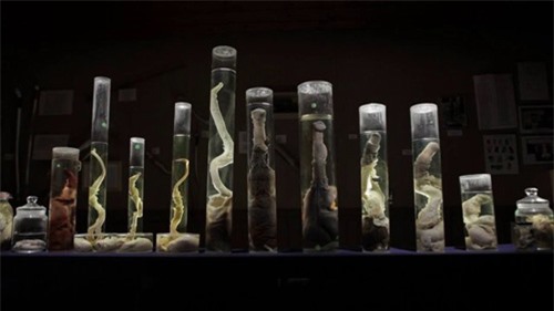 Bảo tàng "của quý" lớn nhất hành tinh