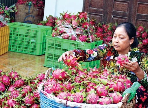 Những cải thiện về chất lượng sẽ giúp hàng hóa Việt Nam tiếp cận được các thị trường giá trị cao mới nhằm đẩy mạnh xuất khẩu và tăng thu nhập cho người nông dân.