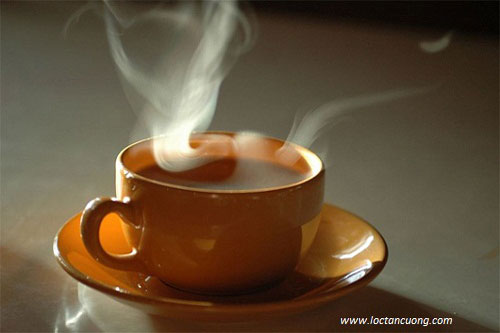 Đời người, bởi quá để tâm nên thống khổ vô bờ