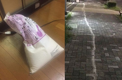 Bận trông con nhờ chồng đi mua gạo nấu cơm, đến khi nhìn "thành phẩm" vợ mới nổi giận lôi đình