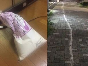 Bận trông con nhờ chồng đi mua gạo nấu cơm, đến khi nhìn "thành phẩm" vợ mới nổi giận lôi đình