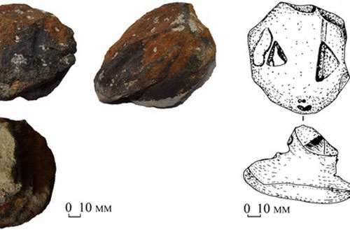 Bí mật bất ngờ về "đầu rắn" nghìn năm tuổi