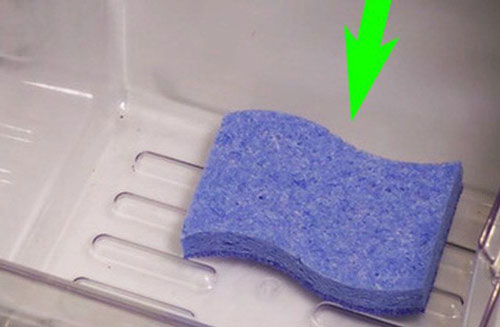 Đặt miếng bọt biển trong tủ lạnh, sáng hôm sau điều kỳ diệu xảy ra