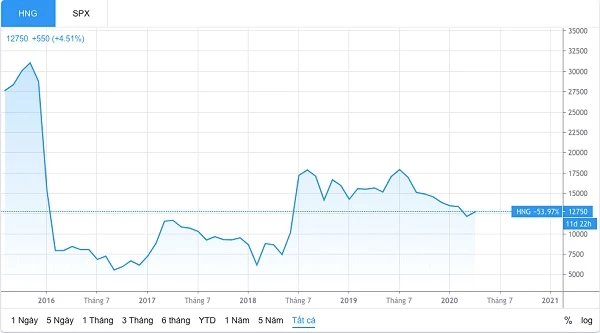 Diễn biến giá cổ phiếu HNG từ lúc lên sàn đến nay (Nguồn: TradingView)