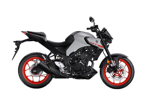 Mới tập chơi, chọn môtô nào phù hợp?